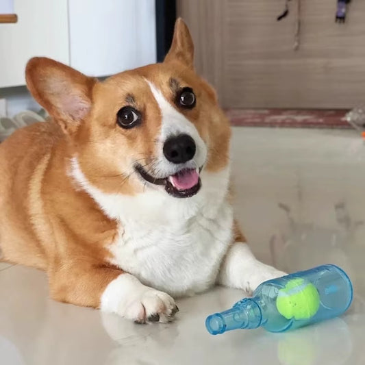 HoppiPet™ BrewPaws 2-in-1 Interactive Squeaky Bottle Toy