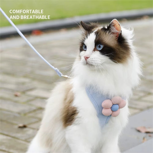 HoppiPet™ LadyPaws Floral Elegance Harness & Leash Set