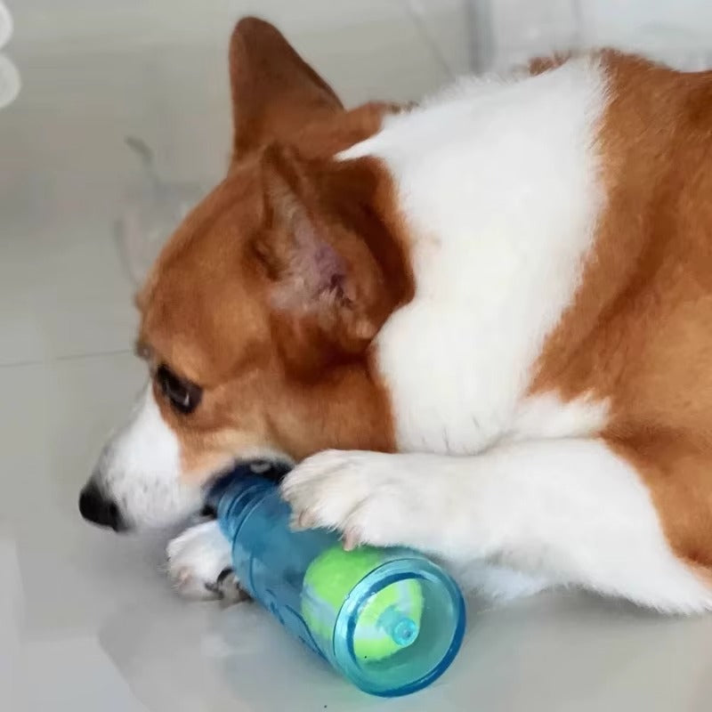 HoppiPet™ BrewPaws 2-in-1 Interactive Squeaky Bottle Toy