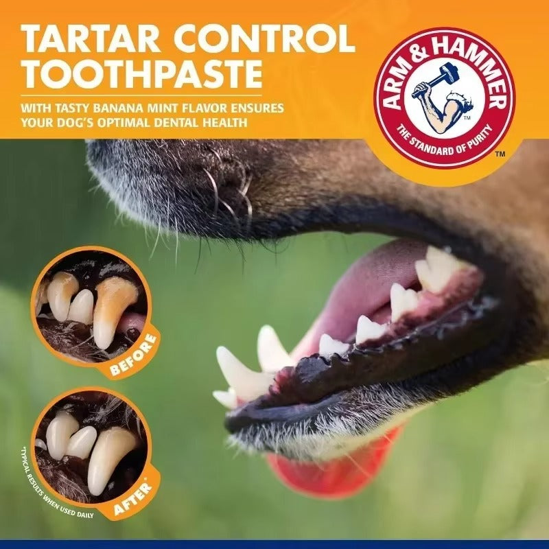HoppiPet™ DentalPro Complete Dog Oral Care Kit